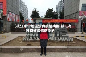 【枝江哪个地区没有疫情病例,枝江有没有被疫情感染的】