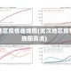 武汉地区疫情曲线图(武汉地区疫情曲线图高清)