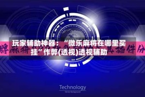 玩家辅助神器：“微乐麻将在哪里买挂”作弊(透视)透视辅助