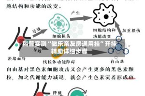 科普实测“微乐亲友房通用挂”开挂辅助详细步骤