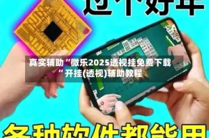 真实辅助“微乐2025透视挂免费下载”开挂(透视)辅助教程