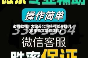 必看教程“大宝苏北麻将可以开挂吗”(原来确实是有插件)