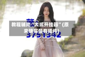 教程辅助“大贰开挂器”(原来确实是有插件)