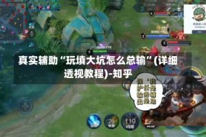 真实辅助“玩填大坑怎么总输”(详细透视教程)-知乎