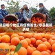 忠县哪个地区有疫情发生/忠县最新消息
