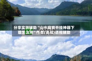 分享实测辅助“山水麻将开挂神器下载怎么用”作弊(透视)透视辅助