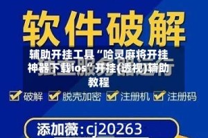 辅助开挂工具“哈灵麻将开挂神器下载ios”开挂(透视)辅助教程
