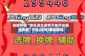 辅助神器“微乐湖北麻将万能开挂器通用版”开挂(透视)辅助教程