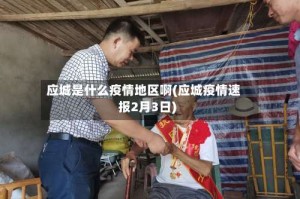 应城是什么疫情地区啊(应城疫情速报2月3日)