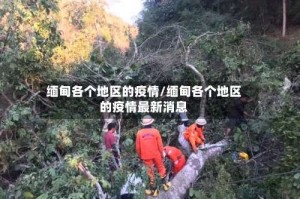 缅甸各个地区的疫情/缅甸各个地区的疫情最新消息