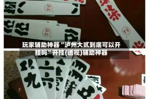 玩家辅助神器“泸州大贰到底可以开挂吗”开挂(透视)辅助神器