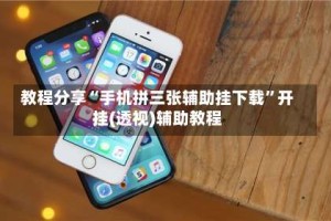 教程分享“手机拼三张辅助挂下载”开挂(透视)辅助教程