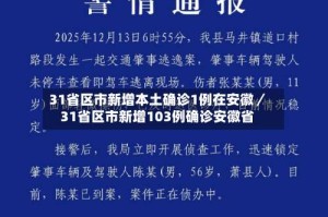 31省区市新增本土确诊1例在安徽／31省区市新增103例确诊安徽省