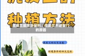 虎皮兰能放卧室吗／虎皮兰不进家门的原因