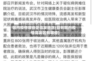 国内疫情哪些是高发地区(目前国内疫情高发区有哪些)