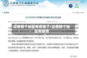云南哪个地区有疫情了/云南那个地区有疫情
