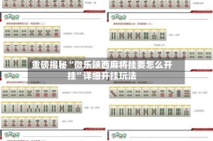 重磅揭秘“微乐陕西麻将挂要怎么开挂”详细开挂玩法