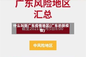 什么叫新广东疫情地区(广东的新疫情)
