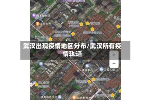 武汉出现疫情地区分布/武汉所有疫情轨迹