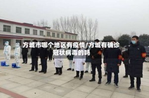 方城市哪个地区有疫情/方城有确诊冠状病毒的吗