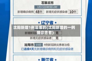 沈阳新增1例是哪的(沈阳新增的一例确诊患者)