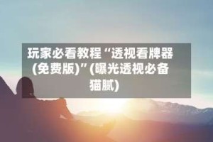 玩家必看教程“透视看牌器(免费版)”(曝光透视必备猫腻)