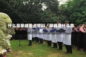 什么是攀峰重点学科／攀峰是什么意思