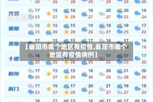 【襄阳市哪个地区有疫情,襄阳市哪个地区有疫情病例】