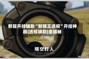 教程开挂辅助“新猴王透视”开挂神器{透视辅助}全揭秘