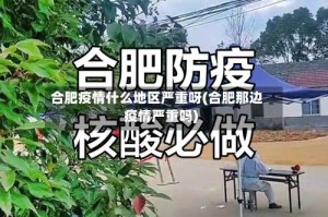 合肥疫情什么地区严重呀(合肥那边疫情严重吗)