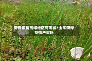 荷泽疫情高峰地区有哪些/山东荷泽疫情严重吗
