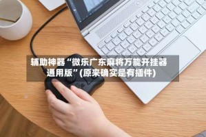 辅助神器“微乐广东麻将万能开挂器通用版”(原来确实是有插件)