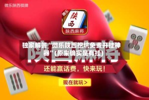 独家解答“微乐陕西挖坑免费开挂神器”(原来确实是有挂)