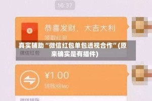 真实辅助“微信红包单包透视合作”(原来确实是有插件)