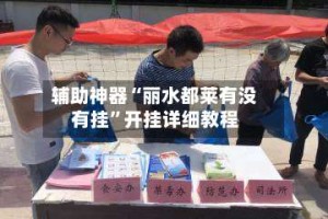 辅助神器“丽水都莱有没有挂”开挂详细教程