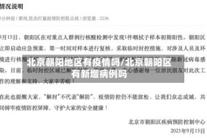 北京朝阳地区有疫情吗/北京朝阳区有新增病例吗