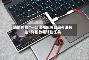 辅助神器“一起温州麻将到底有没有挂”详细教程辅助工具