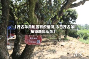 【茂名羊角地区有疫情吗,今日茂名羊角镇新闻头条】