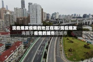 现在爆发疫情的地区在哪/现在爆发疫情的城市