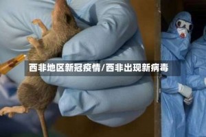 西非地区新冠疫情/西非出现新病毒
