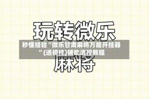 秒懂经验“微乐甘肃麻将万能开挂器”(透视挂)辅助透视教程