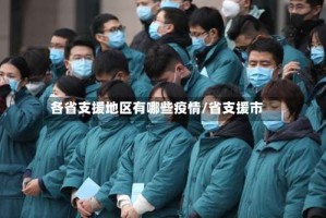 各省支援地区有哪些疫情/省支援市