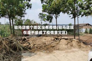 驻马店哪个地区没有疫情(驻马店现在是不是成了疫情重灾区)