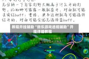 教程开挂辅助“微乐游戏透视辅助”开挂详细教程