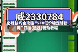 必胜技巧全攻略“518低价稳定辅助网”开挂(透视)辅助教程
