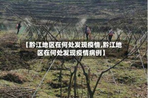 【黔江地区在何处发现疫情,黔江地区在何处发现疫情病例】