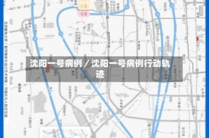 沈阳一号病例／沈阳一号病例行动轨迹