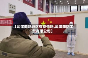 【武汉向阳地区有疫情吗,武汉向阳工贸有限公司】