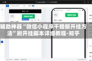 辅助神器“微信小程序干瞪眼开挂方法”附开挂脚本详细教程-知乎