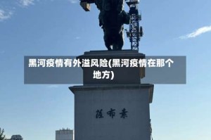 黑河疫情有外溢风险(黑河疫情在那个地方)